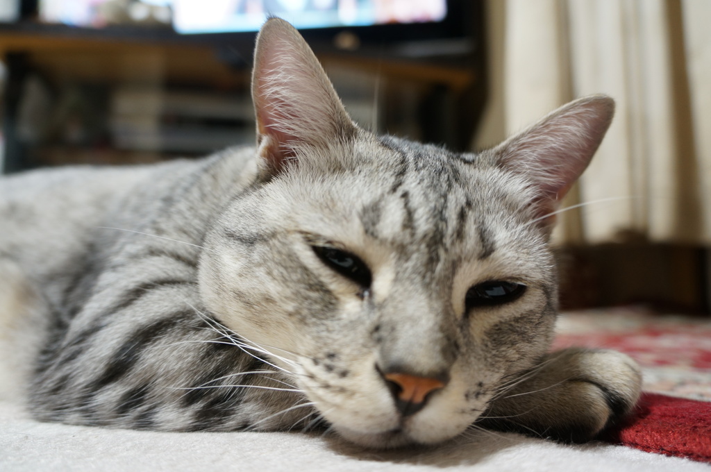 冬と春の間で。