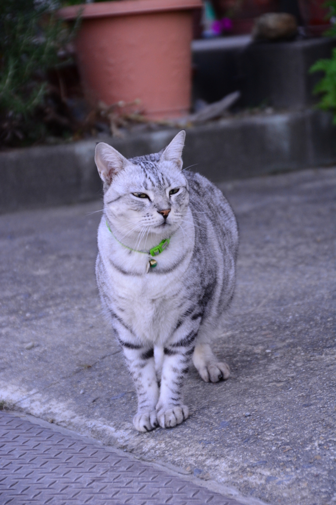『今日の福太郎』
