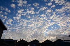 素晴らしき今朝の空♪♪♪