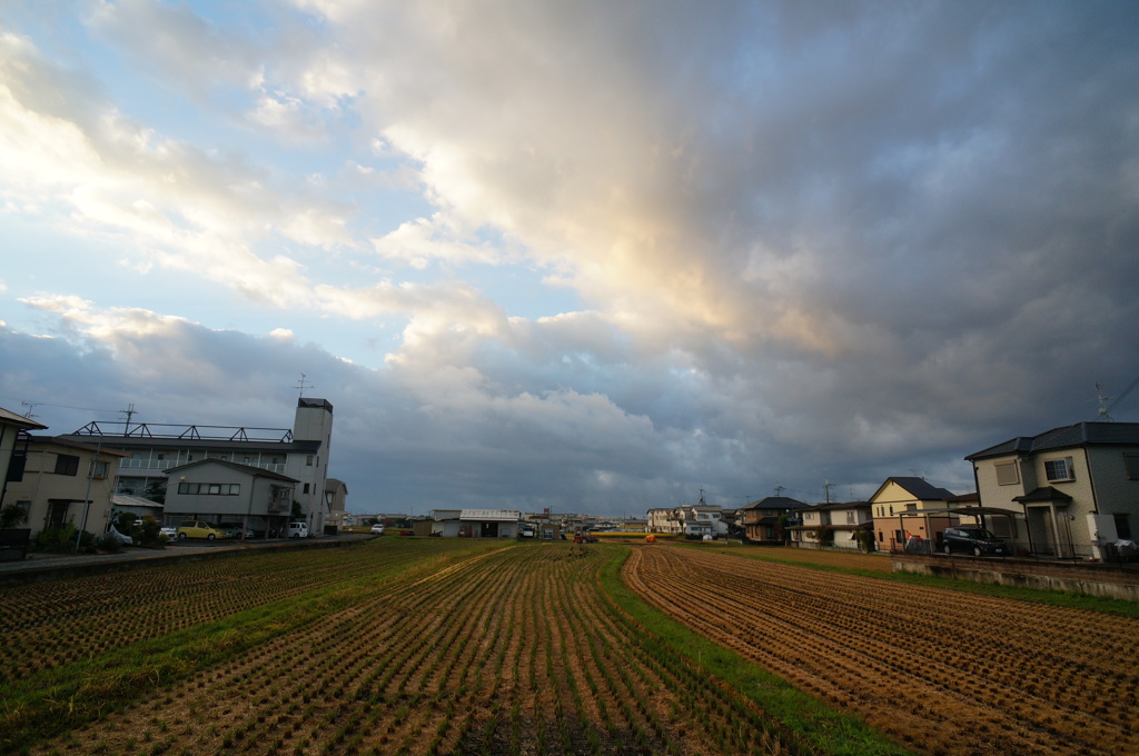 雨上がりの朝の空