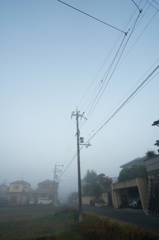 濃霧な朝