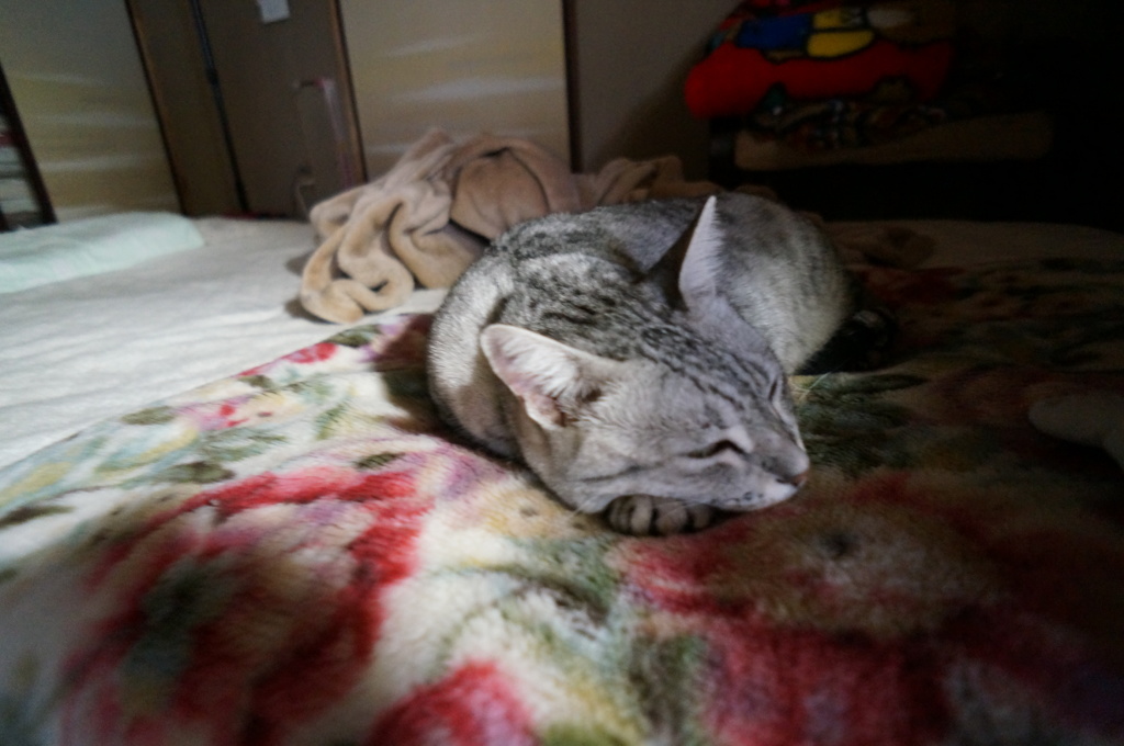 一気に台風の空へ