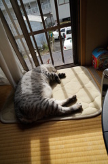 本当に台風来るの？