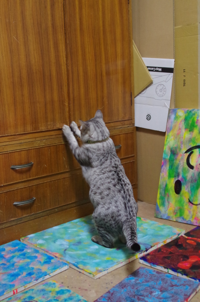 『開けたい開かない』