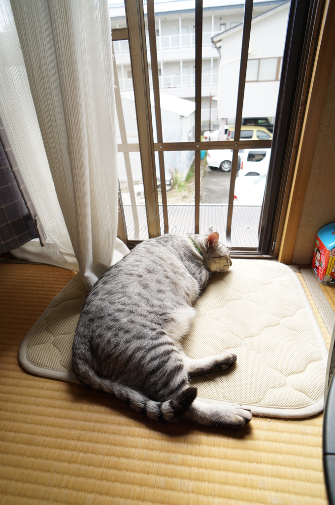本当に台風来るの？