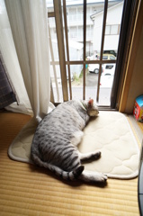 本当に台風来るの？