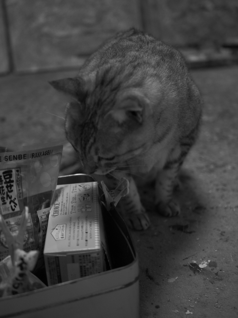 フクちゃん