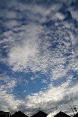 今朝の空