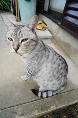 今朝は不機嫌？