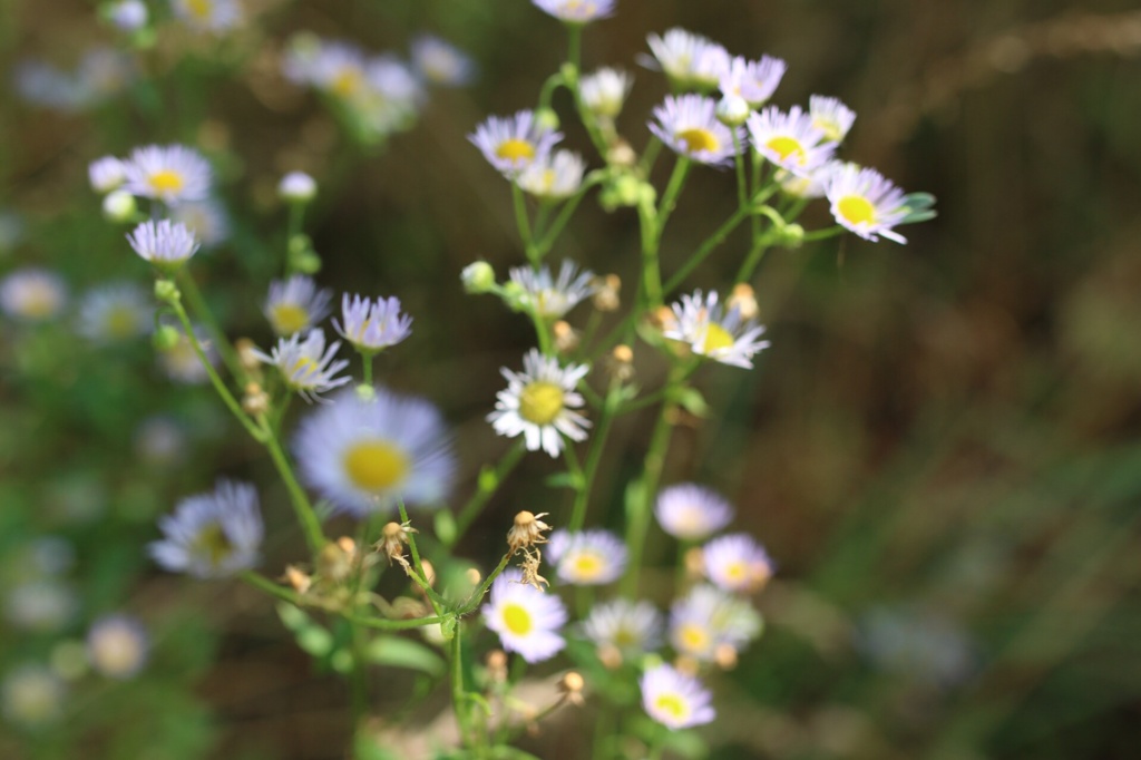 歩いていると…