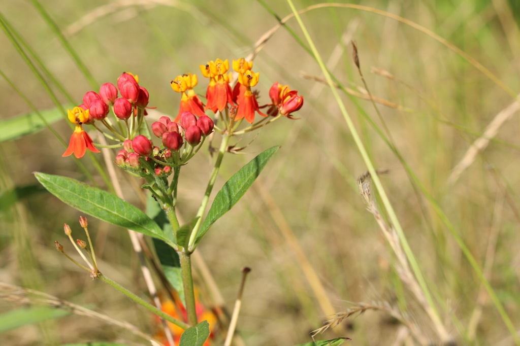 歩いていると…