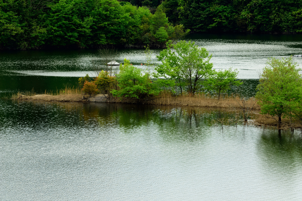 スクープ映像　UFO着水！(◎_◎;)