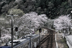 JR笠置駅