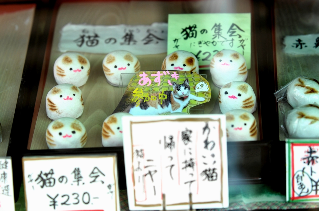 猫の集会