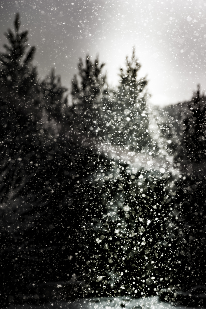 Diamonddust？
