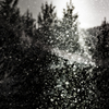 Diamonddust？