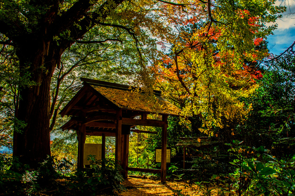 鐘楼・戒長寺　境内から