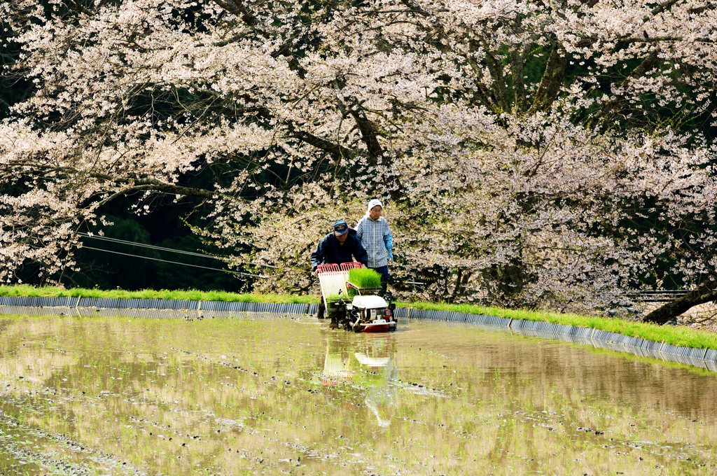いつまでも元気で 2