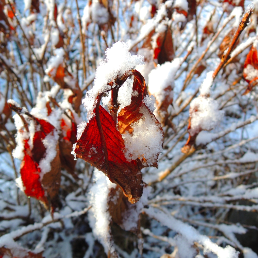 寒い〜ね　(^ ^)