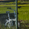 自転車ダイエット始めましたが・・・・・