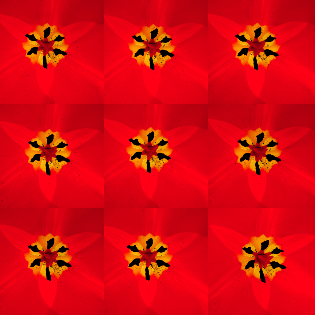 30sec×9