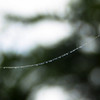 raindrop2