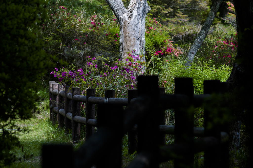 鳥見山公園