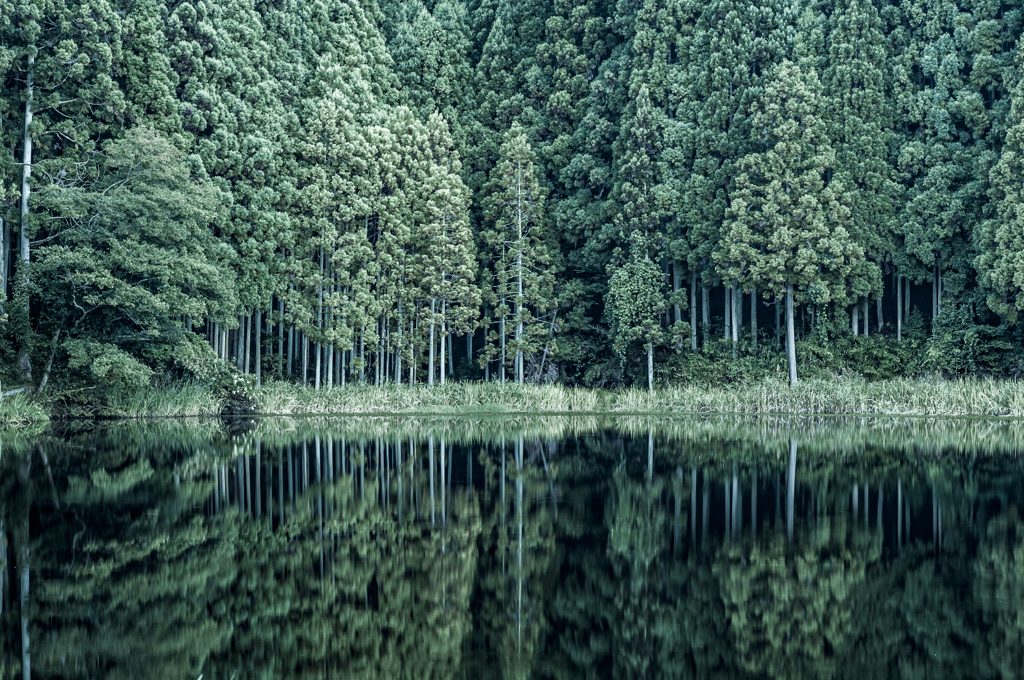 Reflection