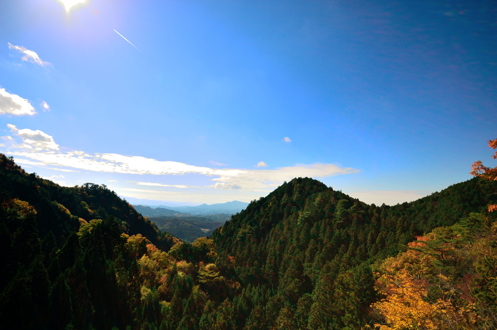 紅葉お気に入りポイント 2