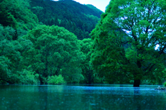 期間限定の風景