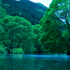 期間限定の風景