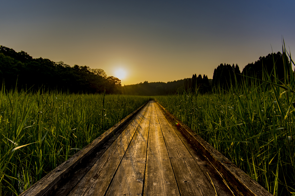 sunriseroad