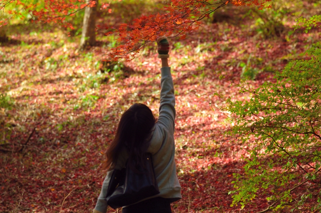 紅葉撮る人２