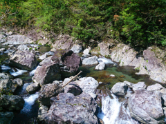 新緑に包まれて　源流