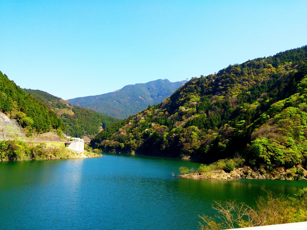 新緑に包まれて　ダム湖