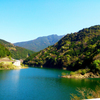 新緑に包まれて　ダム湖