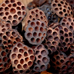 穴何個開いてるかな？