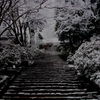 雪の室生寺