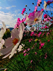 嵐が来る前に１