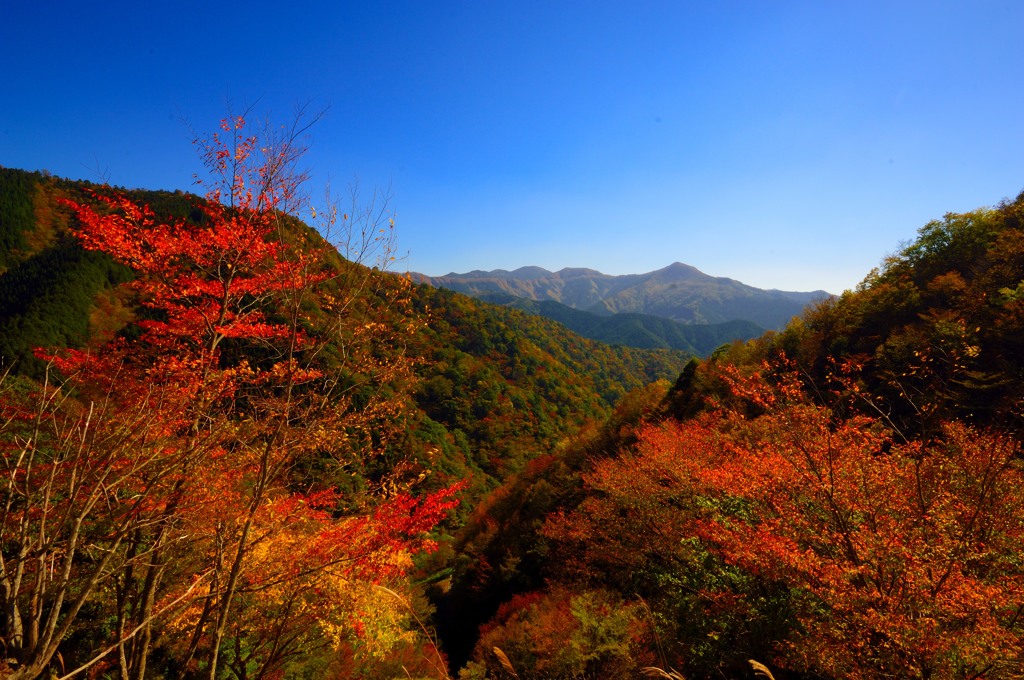 向こうの山は大台ヶ原