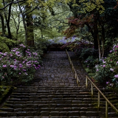 室生寺