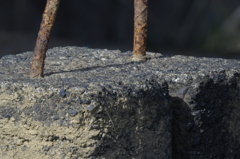 2560mm テレコン２個使いました。