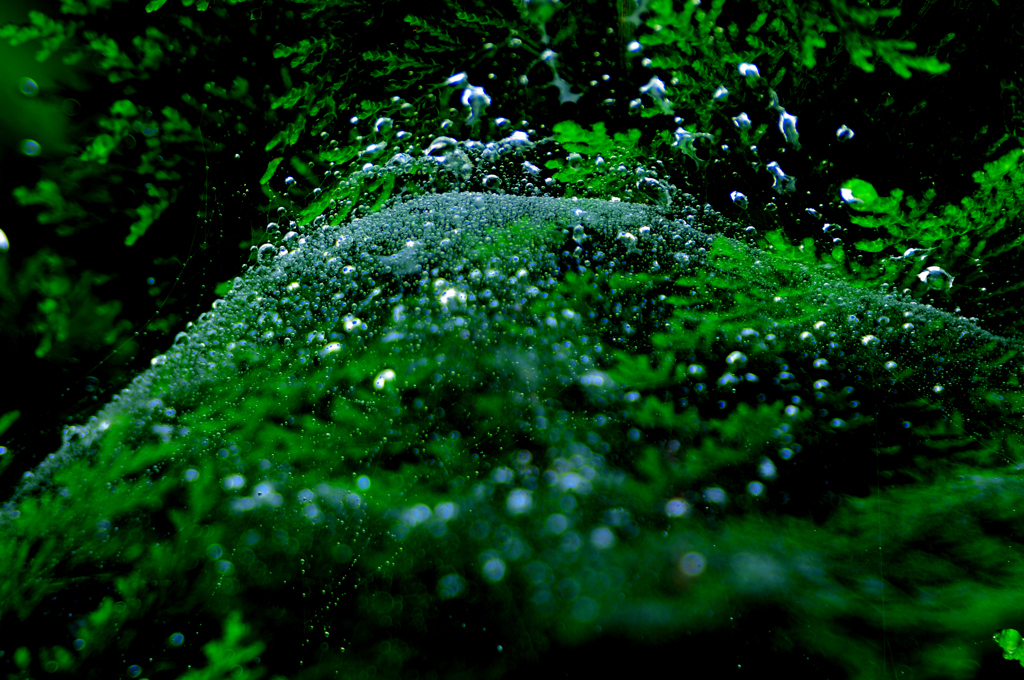 raindrop