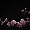 Dark UME