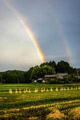 doublerainbow