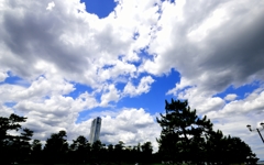 暑くなるから太陽顔出すな！