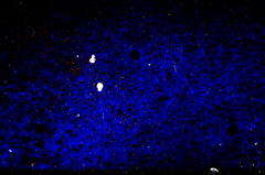 足元に有った宇宙