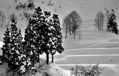 雪の棚田