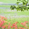 TYS_1473