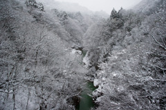 渓谷の冬景色